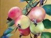 Pommes sauvages 2015 Huile sur toile